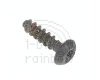 PowerBook Screw, Grey T8 9.5mm (190,5300,3400,G3 Kanga)